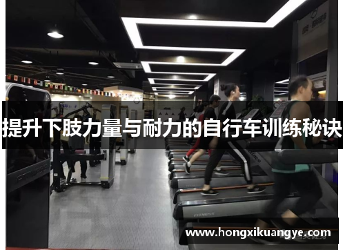 提升下肢力量与耐力的自行车训练秘诀